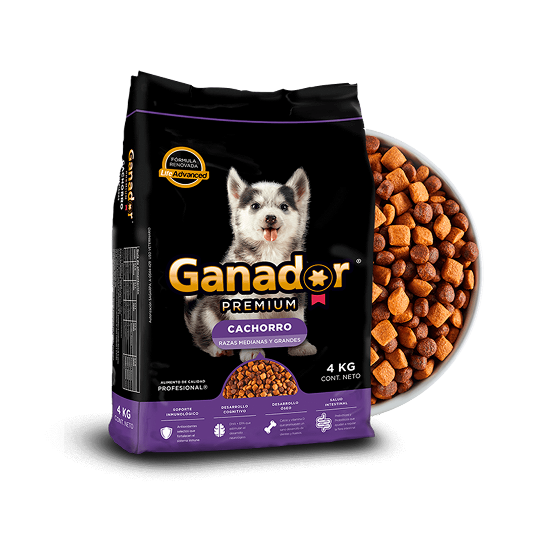 GANADOR PREMIUM CACHORRO RAZA GRANDE - CROQUETAS